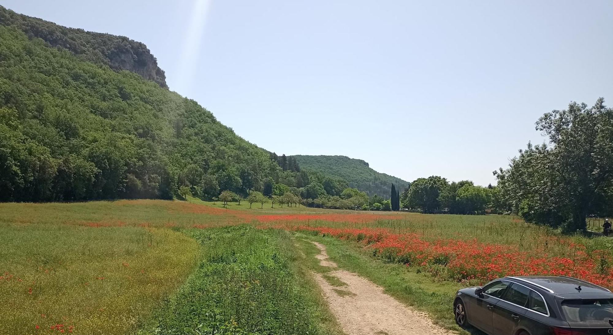 Les Jonquilles Bed & Breakfast Дом Екстериор снимка